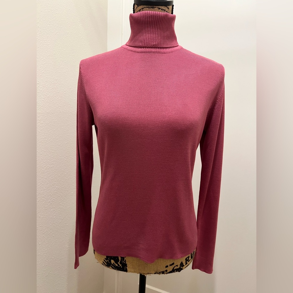 Ann Taylor Silk Turtleneck.